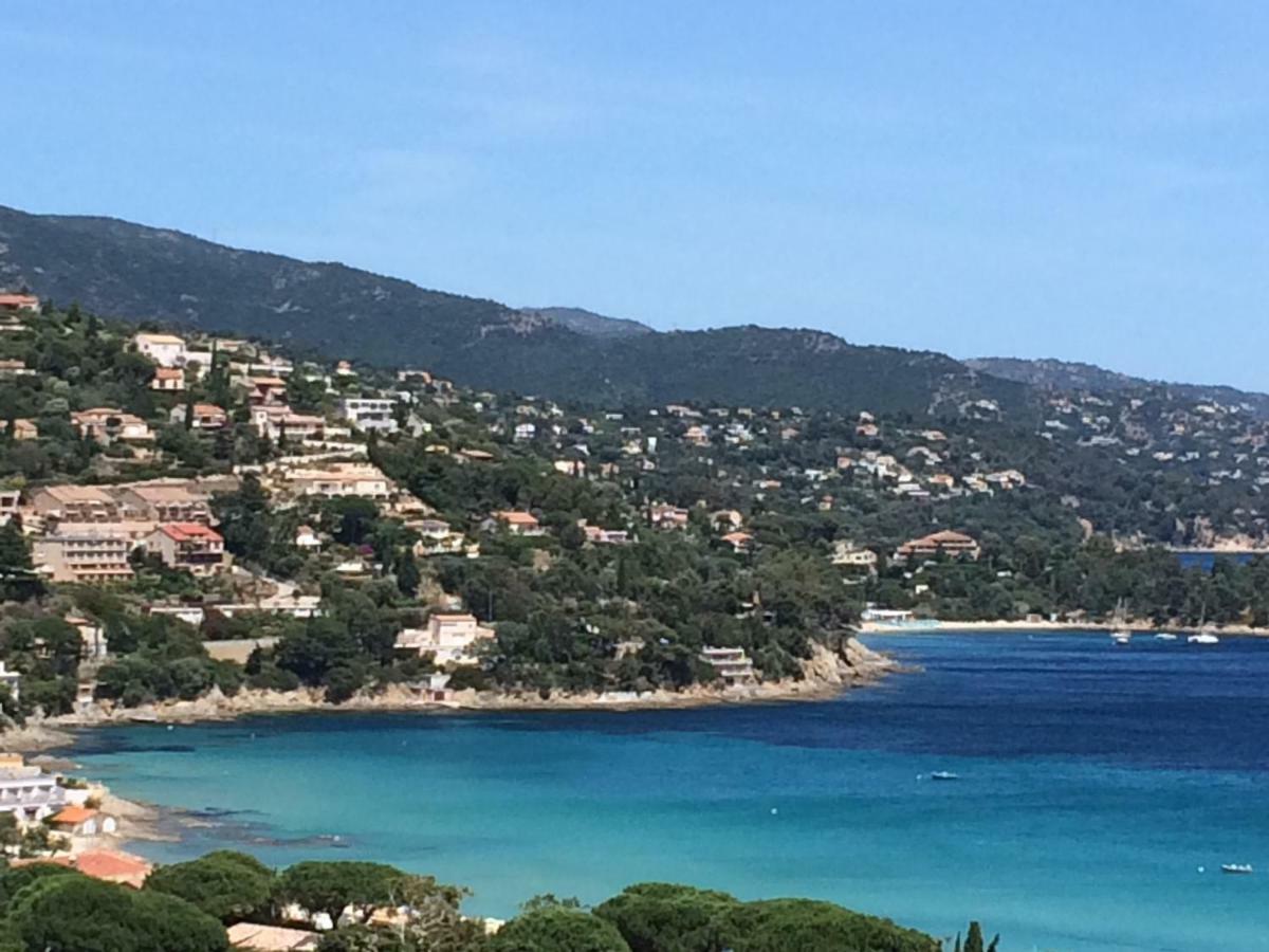 Appartement Altair Le Lavandou Exterior foto